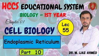 Endoplasmic Reticulum  Cisternae  Part 10  Chapter 1  1ST YEAR  Dr IJAZ  LEC55 [upl. by Cyrano790]