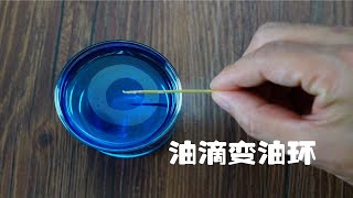 趣味科学小实验，牙签沾点肥皂让油滴秒变油环 [upl. by Huan747]