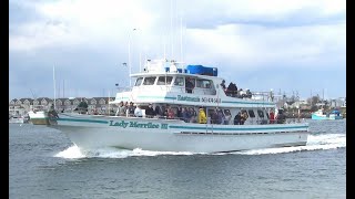 Cod Pollack and Haddock on the Eastmans Fleet [upl. by Hardigg267]