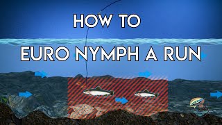 Euro Nymphing a Run  How To [upl. by Bevus]