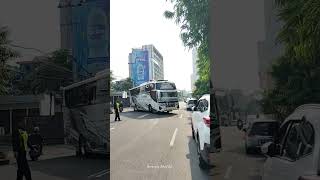 Pegasus 🔥 busmania telolet basuri trending buspariwisata masukberanda teloletbasuri fyp [upl. by Herahab]