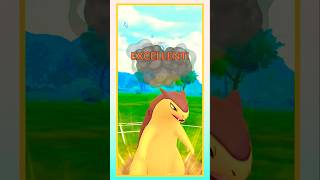 Typhlosion Save The Battle 🤩 in Great League 💥 shorts pvp pvppokemon [upl. by Rafaelia]