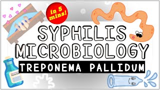 Syphilis Treponema pallidum Microbiology All you need to know [upl. by Jarret103]