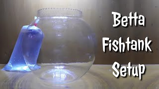 Betta Fish Tank setup part 1  Tamil  The Aquatic Pets [upl. by Yadrahs19]