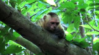 Tayrona Natural Park  Where Nature and Archaelogy Meet in Colombia [upl. by Eachelle]