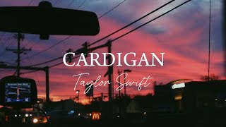 cardigan taylor swift lyrics [upl. by Nerual]