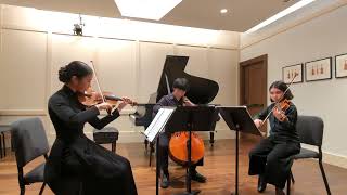 Borodin String Trio in G Major 1st movement [upl. by Eciruam704]