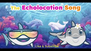 The Echolocation Song  Learn Science the Fun Way [upl. by Ahsauqram335]