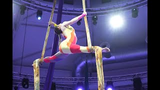 Aerial Silks  Sara Knothe  old circus theme 2024 [upl. by Elehcir]