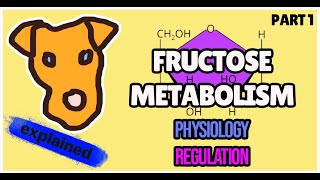 FRUCTOSE Metabolism Pathway for Step 1 Biochemistry [upl. by Mihar]