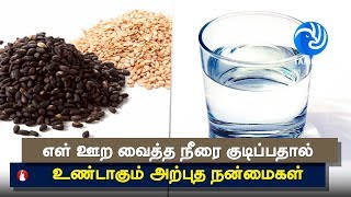 Amazing Health Benefits of Sesame Seeds  Tamil TV [upl. by Enajyram]