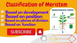 Classification of Meristematic tissue Urdu Hindi by Mushtaq saqib [upl. by Rogers]