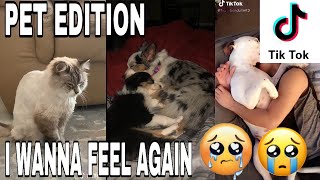 I WANNA FEEL AGAIN TIKTOK COMPILATION  PET EDITION  TRY NOT TO CRY 😭😭😭 [upl. by Elnar417]