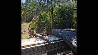 FRIGGING vlog cairnslobster rigging hardwood landscaping aussieblogger [upl. by Estey699]