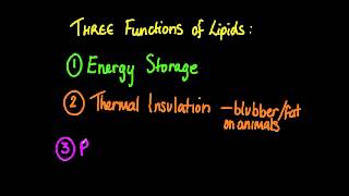 326 State three functions of lipids [upl. by Rayford]