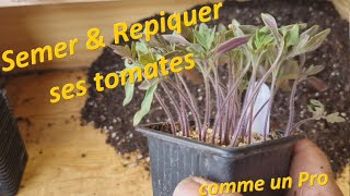 Semer amp repiquer ses tomates comme un pro [upl. by Keel]