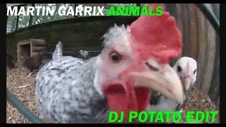 Martin Garrix  Animals DJ Potato Edit [upl. by Kassity]