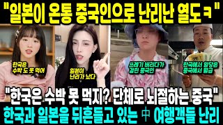 quot일본이 온통 중국인으로 난리난 열도ㅋquot한국과 일본을 뒤흔들고 있는 中 여행객들 난리 [upl. by Artap]