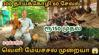 2 கோழியில்🐓ஆரம்பித்தேன் இன்று மாதம் 2500 குஞ்சுகள் விற்பனை 🐥  பெருவிடை [upl. by Alcot]