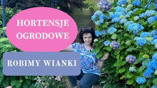 HORTENSJE OGRODOWE we wrześniu  Co robić gdy kwiaty przekwitną  DIY wianek z suszonych hortensji [upl. by Aitnauq270]