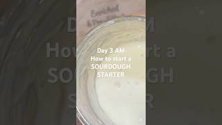 How to make a SOURDOUGH STARTER DAY 3 AM [upl. by Nahsab]