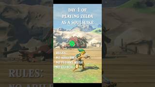 Day 1 of playing Zelda as a Soulslike zelda tearsofthekingdom totk nintendo gaming [upl. by Ballou]