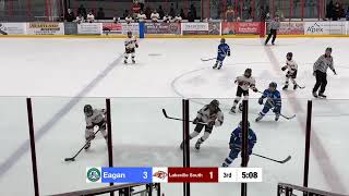 Eagan vs Lakeville South  3rd Period [upl. by Shanan678]