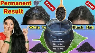 Dont Use Dye Use Only This Powder To Make Hair Black Naturally amp To Reverse Premature Hair Greying [upl. by Leahcimdivad]