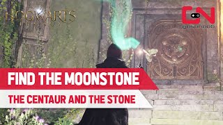 How to Find the Moonstone in Hogwarts Legacy  The Centaur and the Stone Quest Guide [upl. by Nasia844]