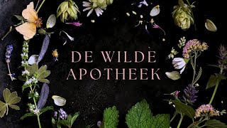 Online Cursus De Wilde Apotheek  Leer in 10 weken werken met kruiden [upl. by Sapphire791]