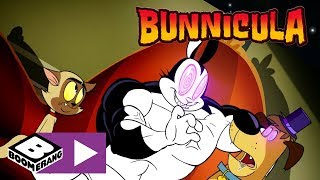 Bunnicula  Getting Crushed  Boomerang UK 🇬🇧 [upl. by Rubliw]