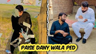 Paise Danay Wala Ped  Comedy Video  khizaromernewintrestingstory [upl. by Eellah]