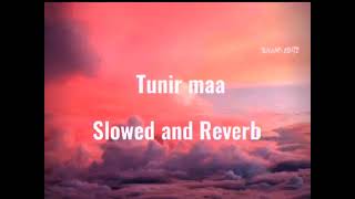 O Tunir Maa SlowedReverb Bengali song 2017 [upl. by Adnomal220]