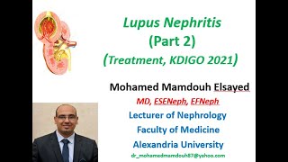 Lupus Nephritis treatment KDIGO 2021 [upl. by Odlawso]