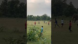 Elephantplaying football with boys in our locality [upl. by Kered]