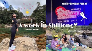 Cherry Blossom Fest23’  Shillong vlog  Our first trip together♡ [upl. by Atilam]