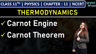 Class 11th Physics  Carnot Engine  Carnot Theorem  Chapter 11 Thermodynamics  NCERT [upl. by Inava870]