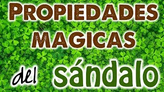 PROPIEDADES MÁGICAS del SÁNDALO 🌱✨ RECETAS EFECTIVAS para LIMPIAR PROTEGER y DESBLOQUEAR 💥✨ [upl. by Dlnaod]