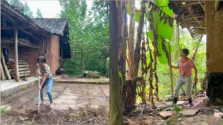 Take a week A poor girl cleans and restores an old abandoned house Relieve work pressure [upl. by Kabab]