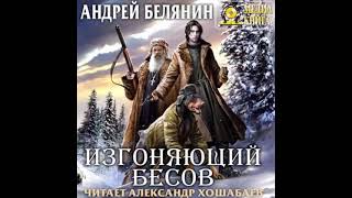 ИЗГОНЯЮЩИЙ БЕСОВ Андрей Белянин АУДИОКНИГА [upl. by Enahpets]