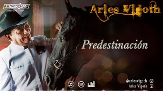 Predestinación  Aries Vigoth Video Lyric Oficial [upl. by Oniliuqnart711]