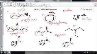 naming and drawing amines [upl. by Tellford]