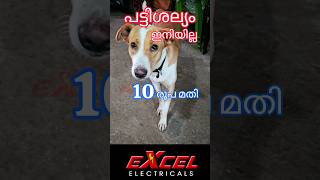 പട്ടിശല്യം ഇല്ലാതാക്കാം  Eliminate dog nuisance  Excel electricals [upl. by Foscalina]