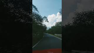 Karnataka forest shorys travelvideo nature travel trendingshorts shortsfeed love travelvlog [upl. by Merceer]