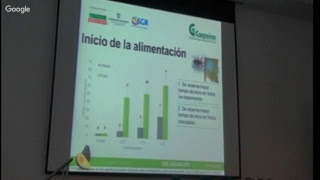 Evaluación de Hongos entomopatógenos para el control de Heilipus lauri en condiciones de laboratorio [upl. by Rovelli]