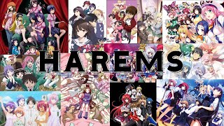 Harems The More The Merrier ￣ー￣ｂ [upl. by Nnoved]