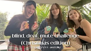 Blind Deaf Mute challenge Christmas edition FT AVAAAAAA and lilly  vlogmas day 7 [upl. by Abigael818]