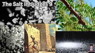 The Salt in Judges 9 [upl. by Haziza]