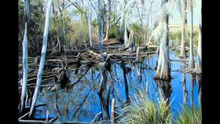 Josh Turners South Carolina Low Country [upl. by Dryden349]