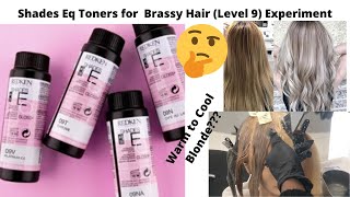 How to tone brassy hair with Wella T14 amp 050 [upl. by Nnylram]